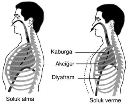 FOTO: Diksiyon Nedir ?
