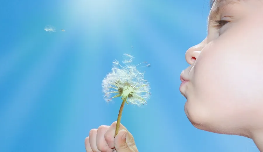 FOTO: Diyafram Nefesi