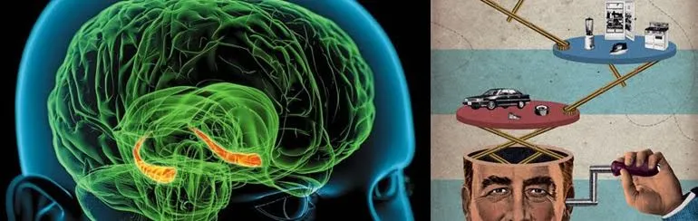 FOTO: Hafıza Geliştirme Teknikleri